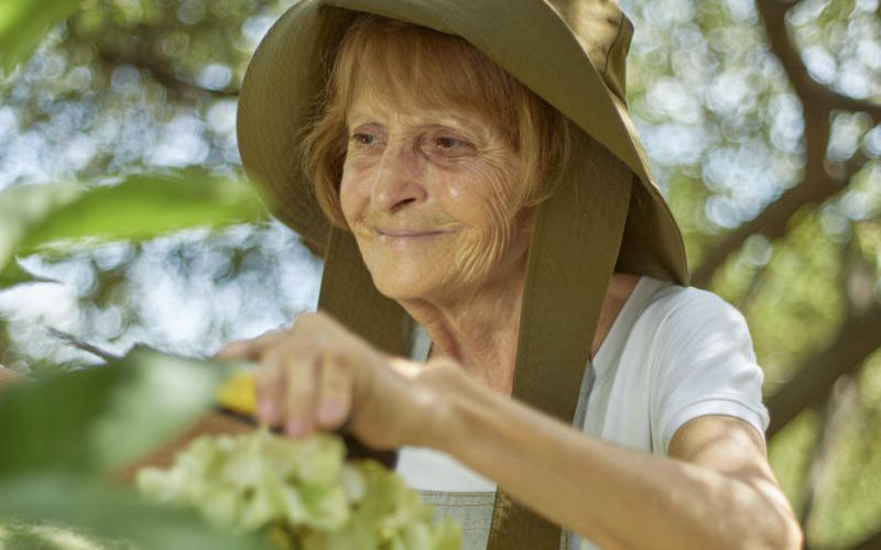 Elderly woman at home gardening